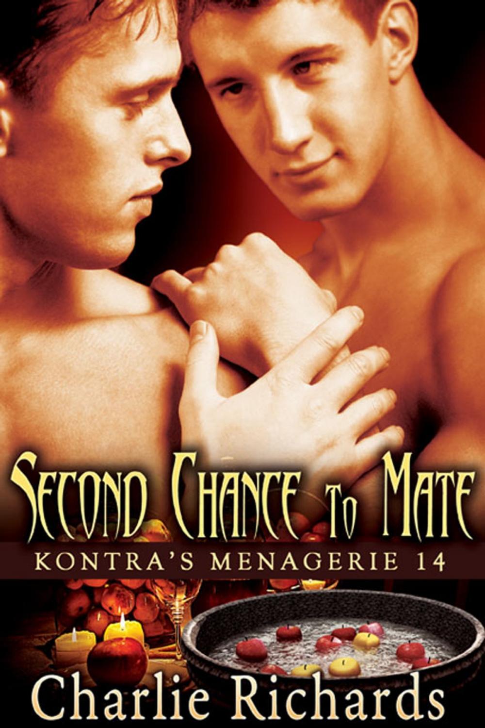 Big bigCover of Second Chance to Mate