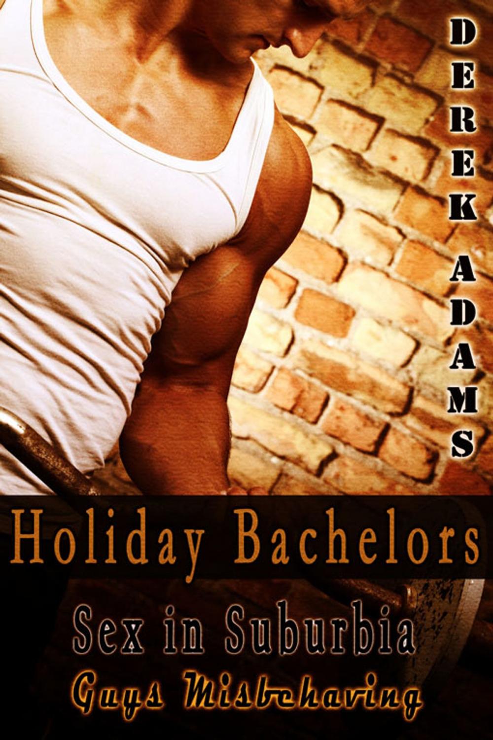 Big bigCover of Holiday Bachelors