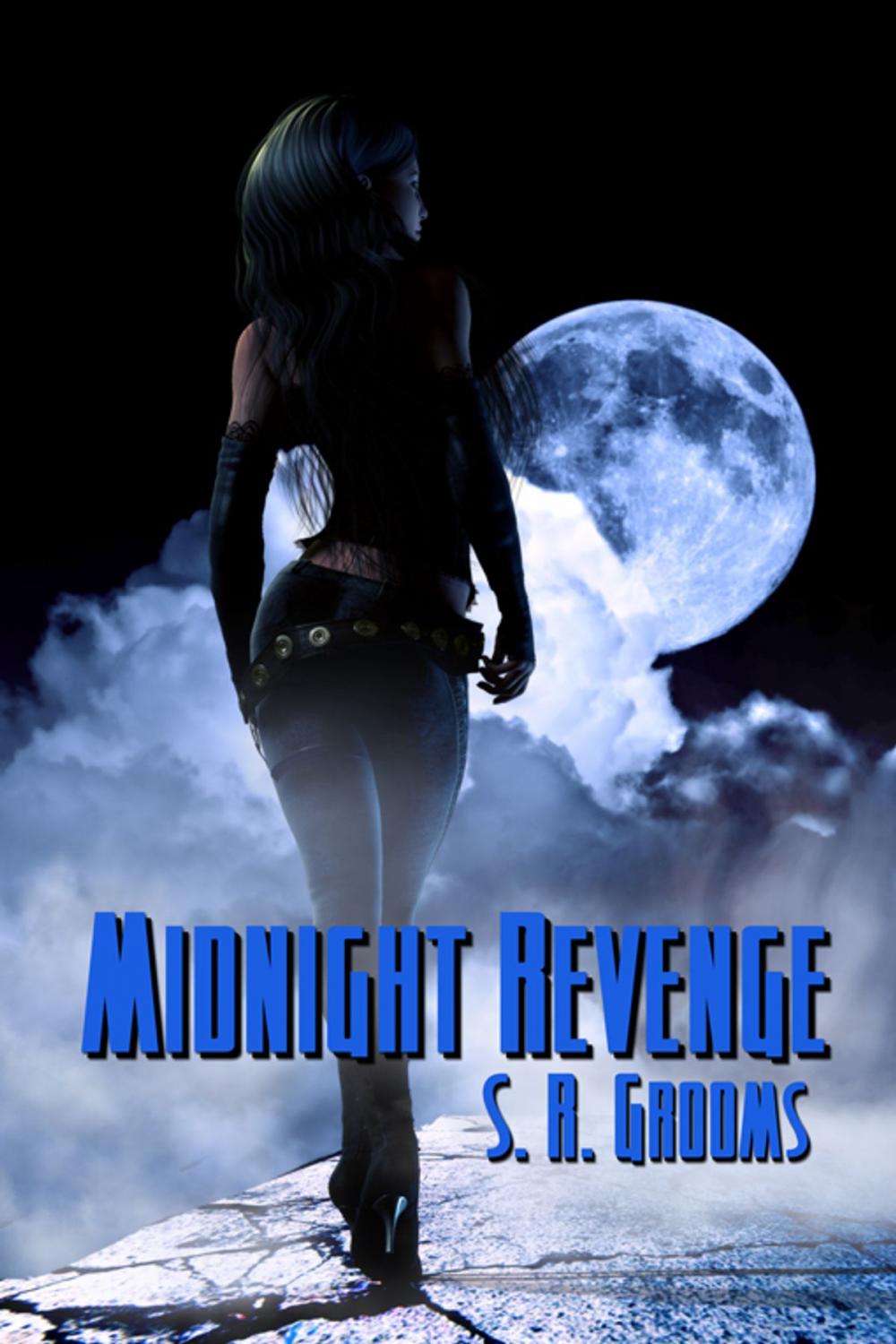 Big bigCover of Midnight Revenge