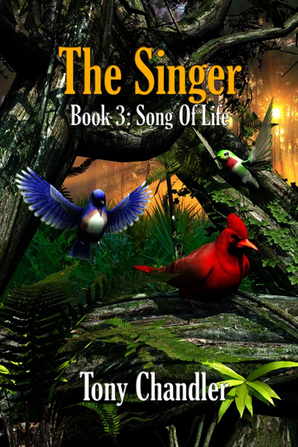 Big bigCover of The Singer