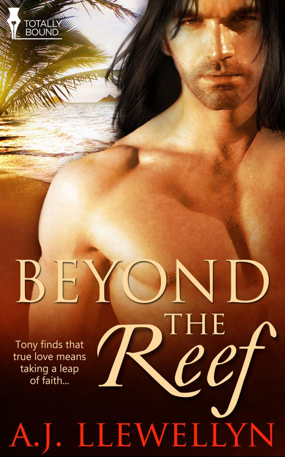 Big bigCover of Beyond the Reef