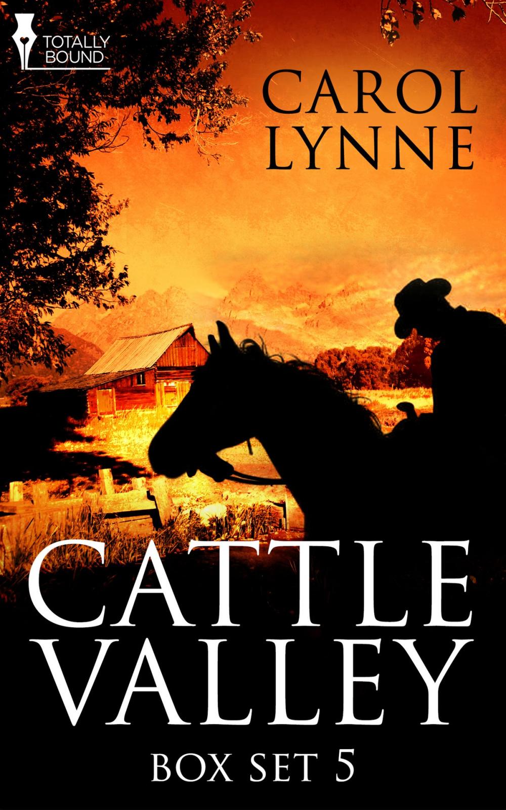 Big bigCover of Cattle Valley Box Set 5