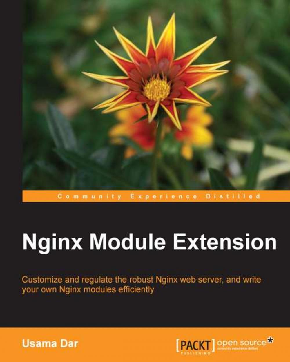 Big bigCover of Nginx Module Extension