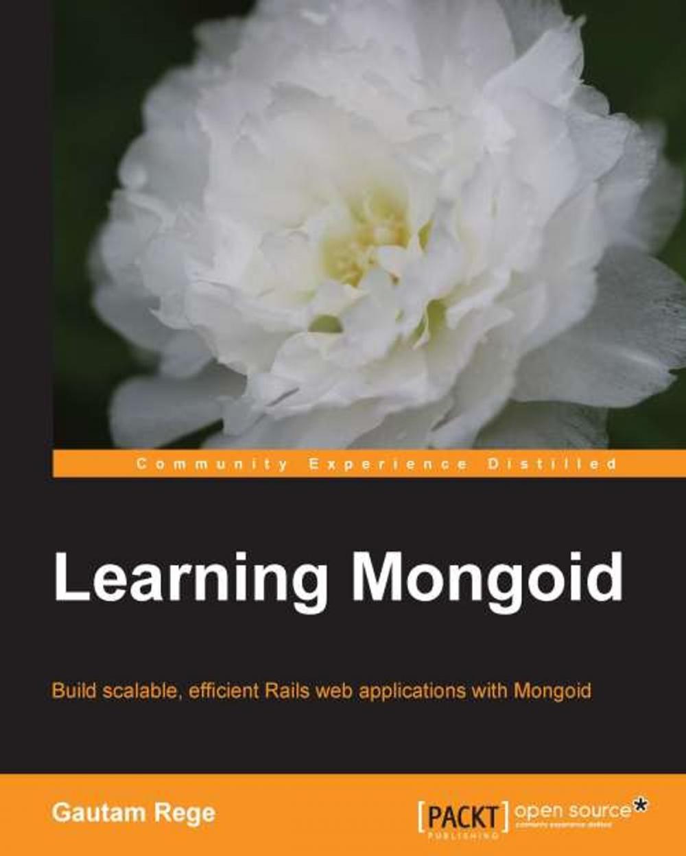 Big bigCover of Learning Mongoid