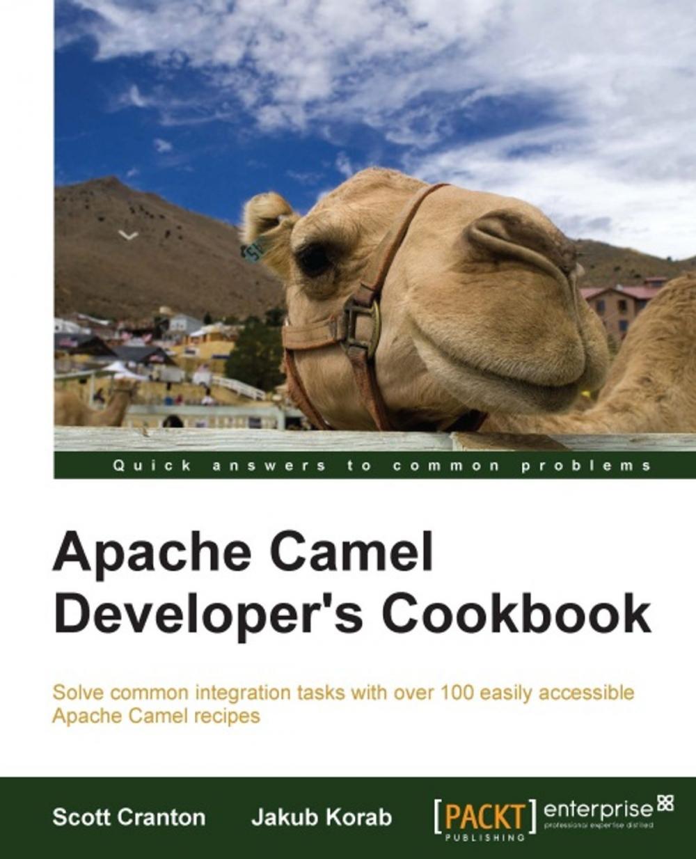 Big bigCover of Apache Camel Developer's Cookbook