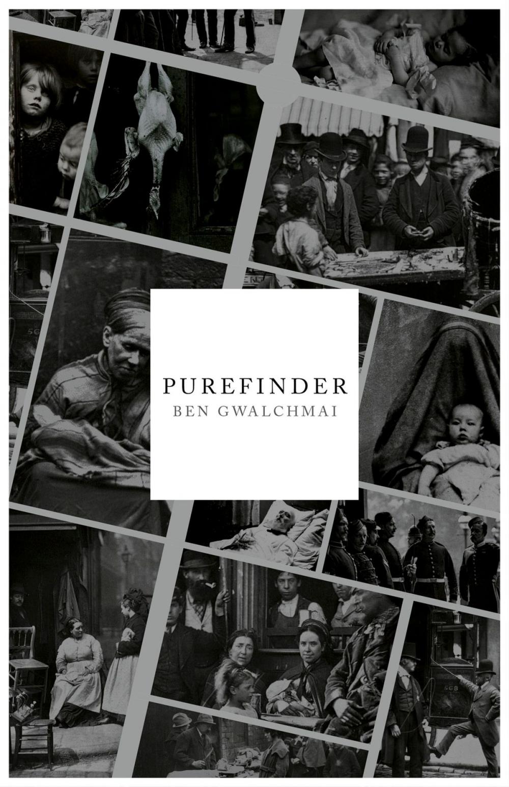 Big bigCover of Purefinder