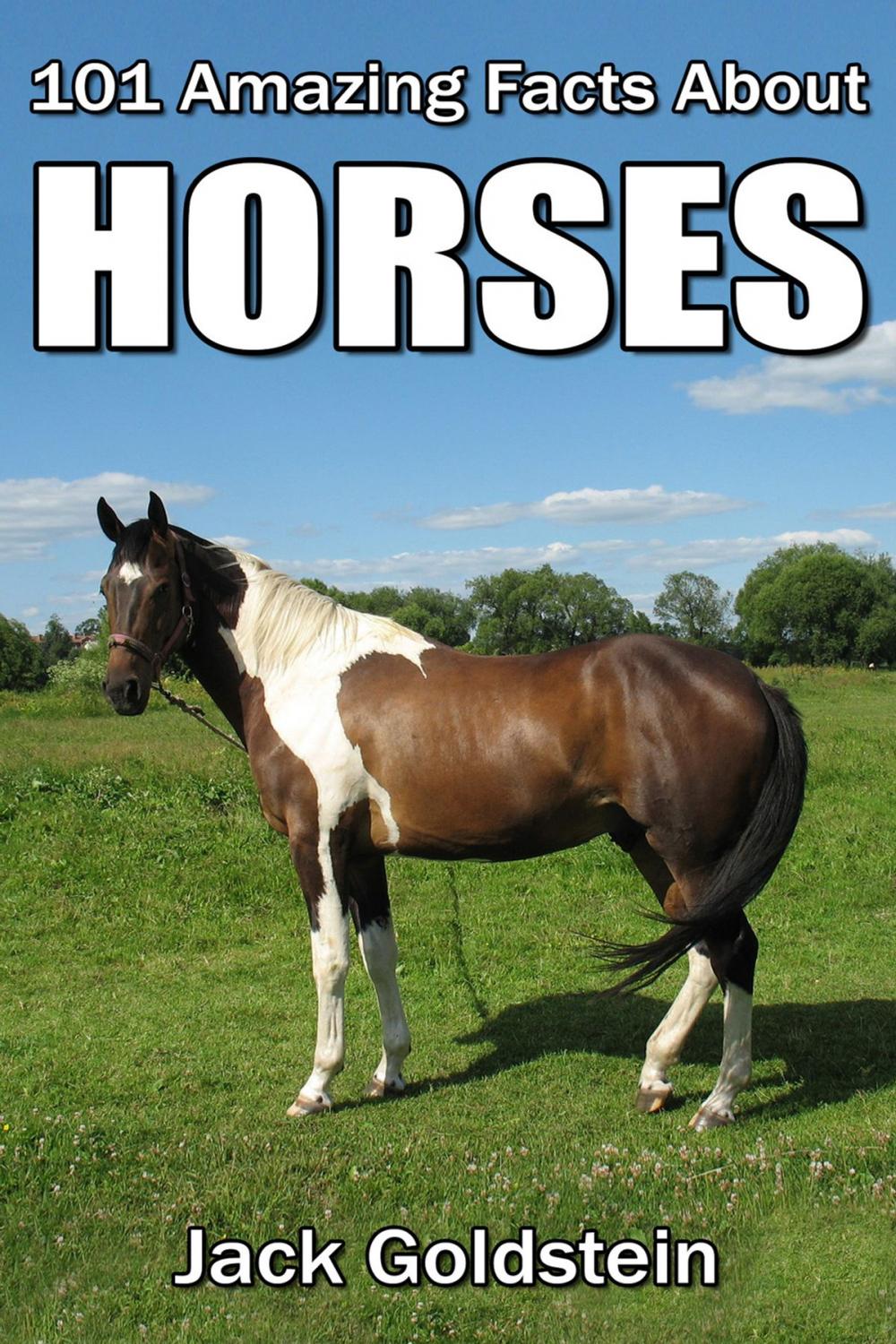 Big bigCover of 101 Amazing Facts about Horses