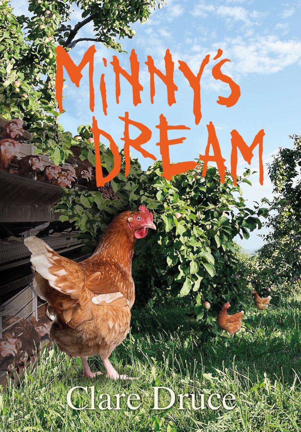 Big bigCover of Minny's Dream