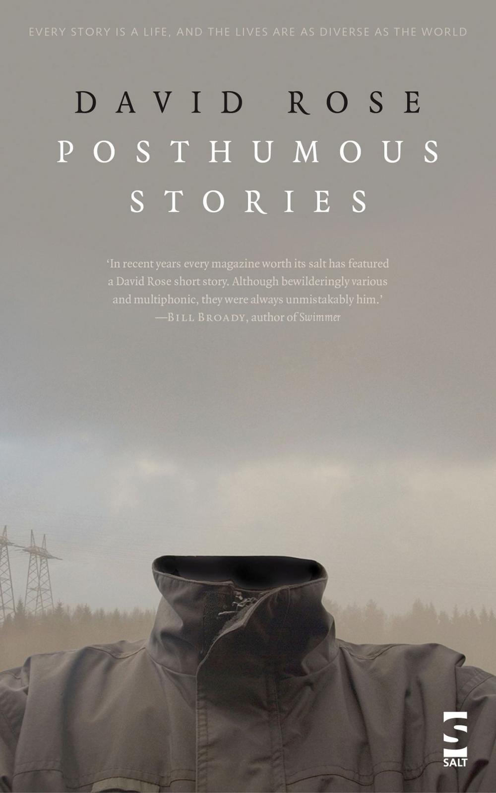 Big bigCover of Posthumous Stories