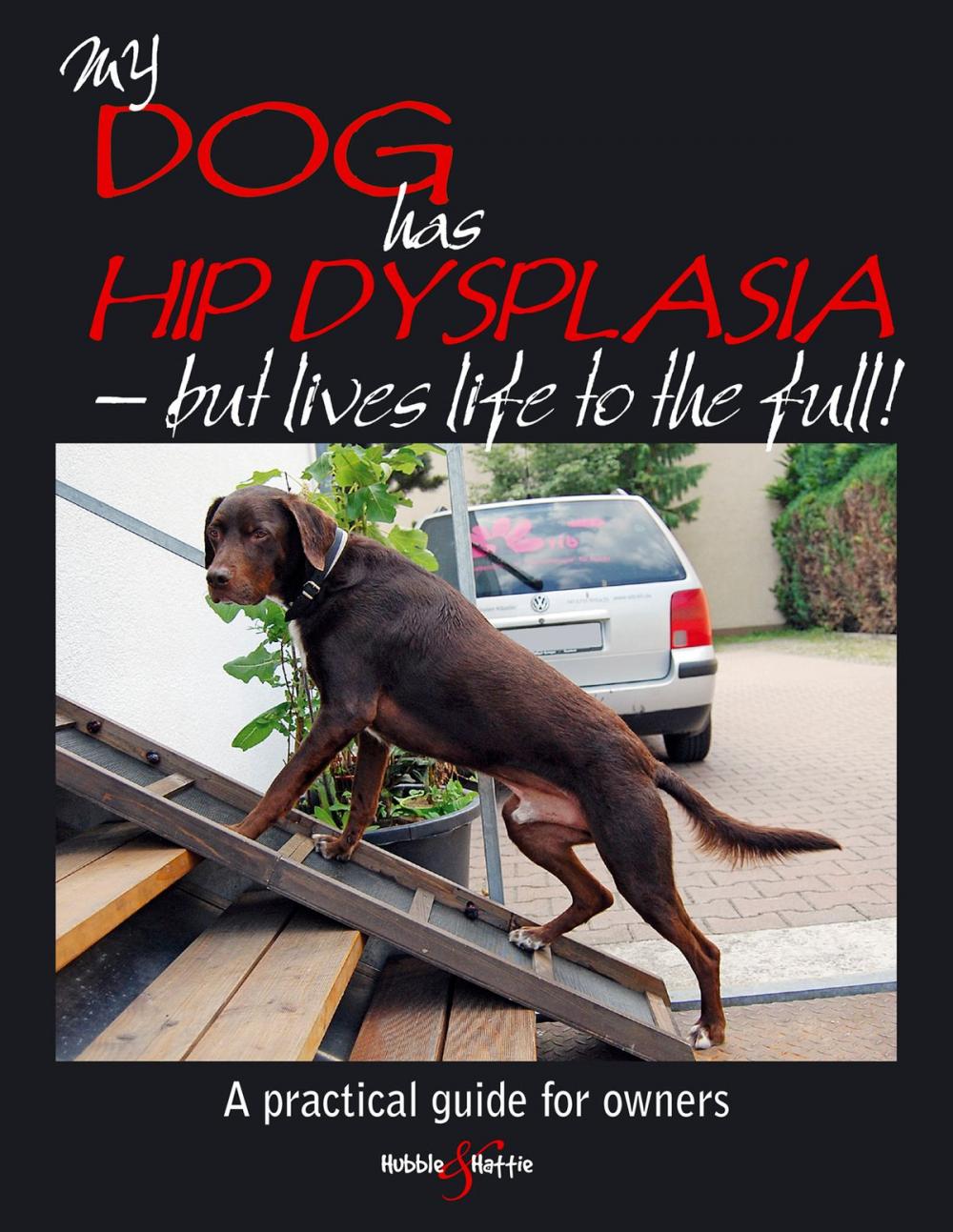 Big bigCover of My dog has hip dysplasia