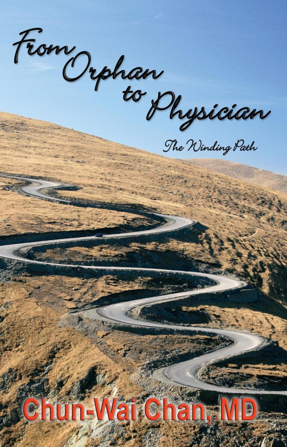 Big bigCover of From Orphan to Physician: The Winding Path