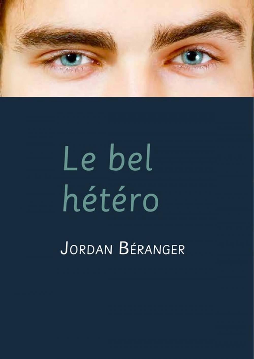 Big bigCover of Le bel hétéro (roman gay)