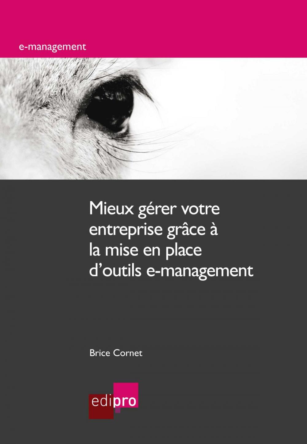 Big bigCover of Mieux gérer votre entreprise grâce à la mise en place d'outils e-management