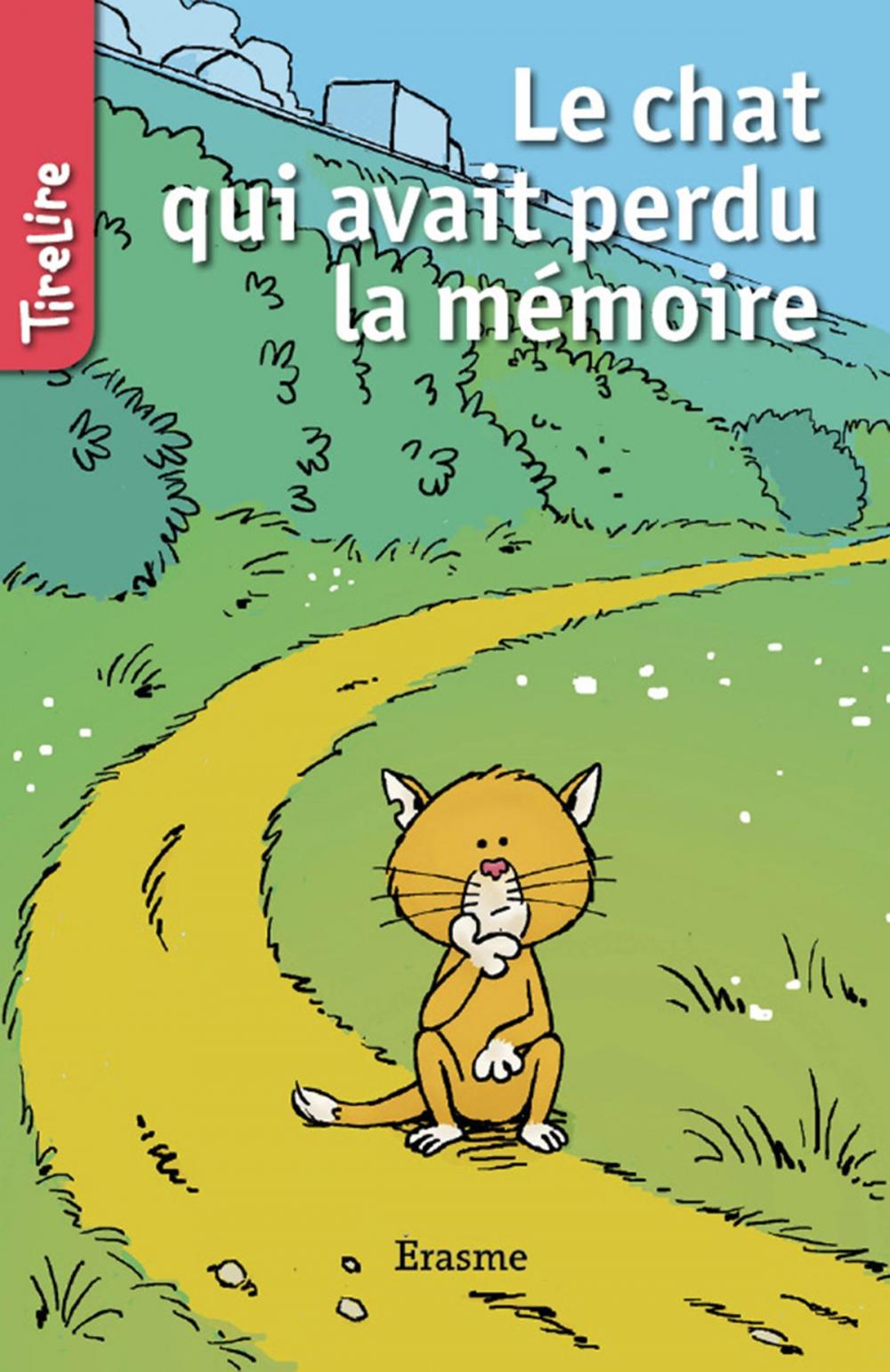 Big bigCover of Le chat qui avait perdu la mémoire