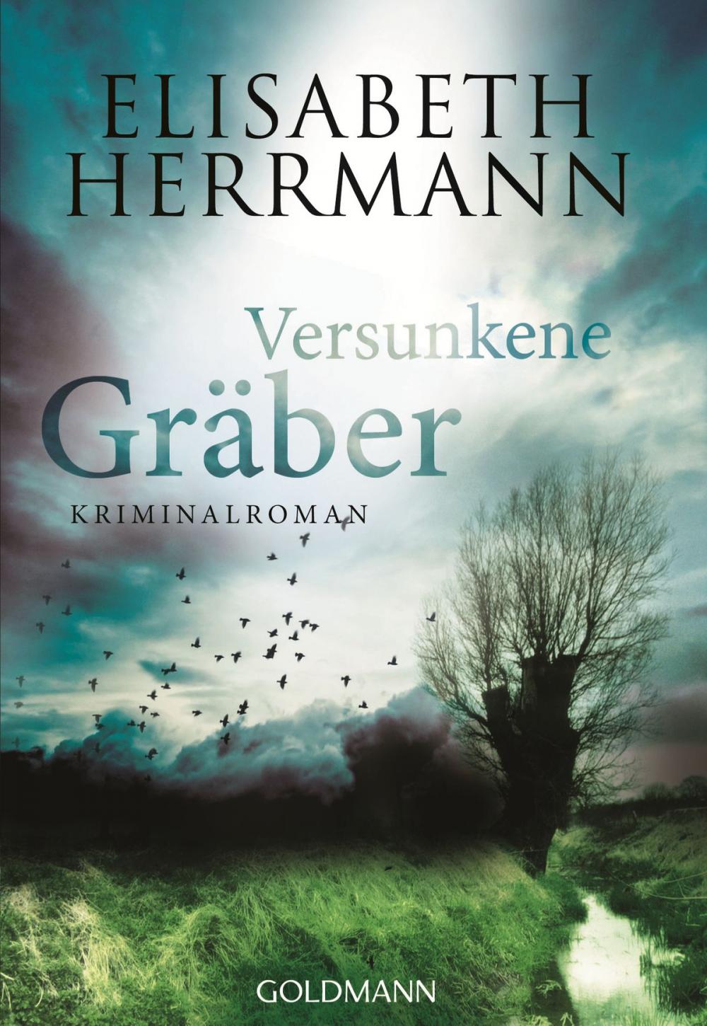 Big bigCover of Versunkene Gräber