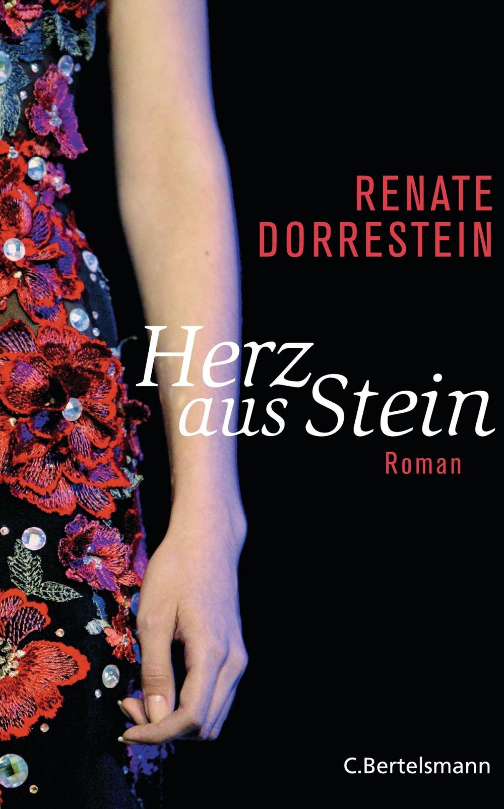 Big bigCover of Herz aus Stein