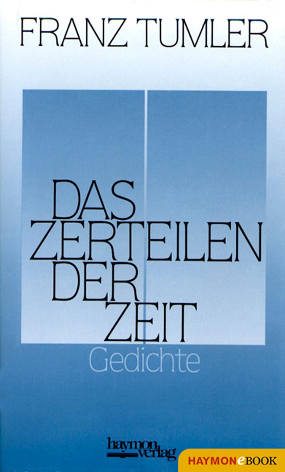 Big bigCover of Das Zerteilen der Zeit