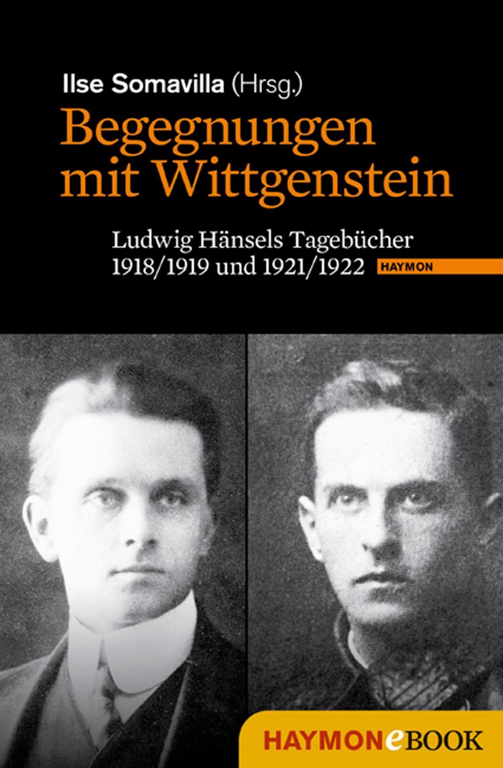 Big bigCover of Begegnungen mit Wittgenstein