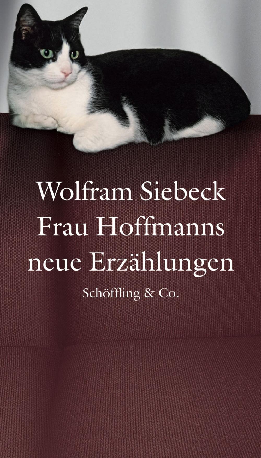 Big bigCover of Frau Hoffmanns neue Erzählungen