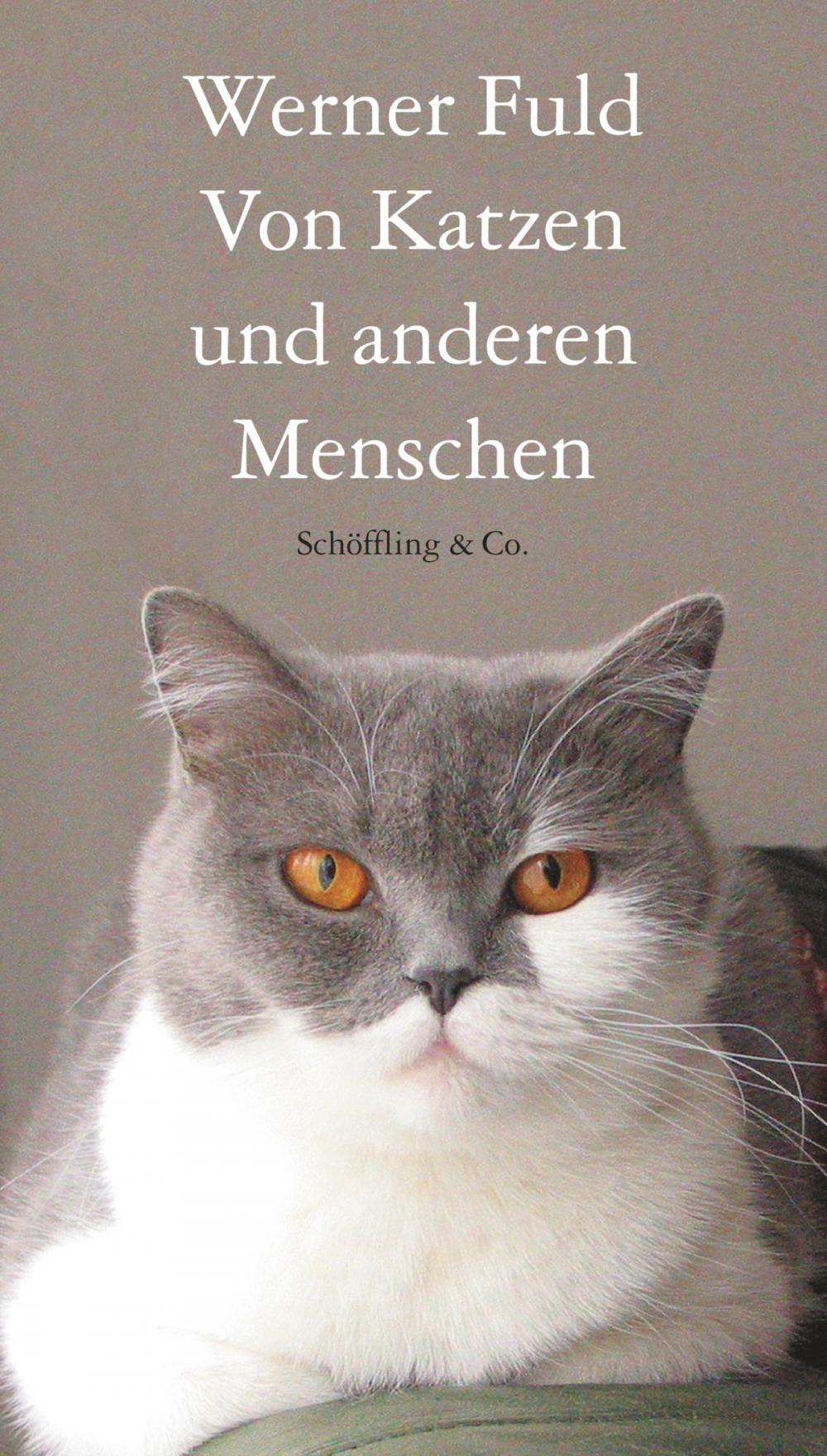 Big bigCover of Von Katzen und anderen Menschen