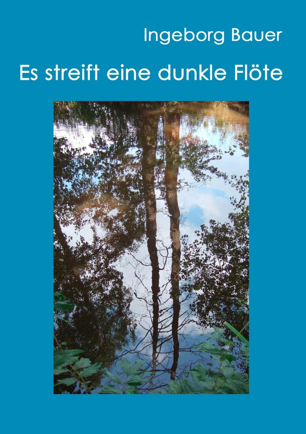 Big bigCover of Es streift eine dunkle Flöte