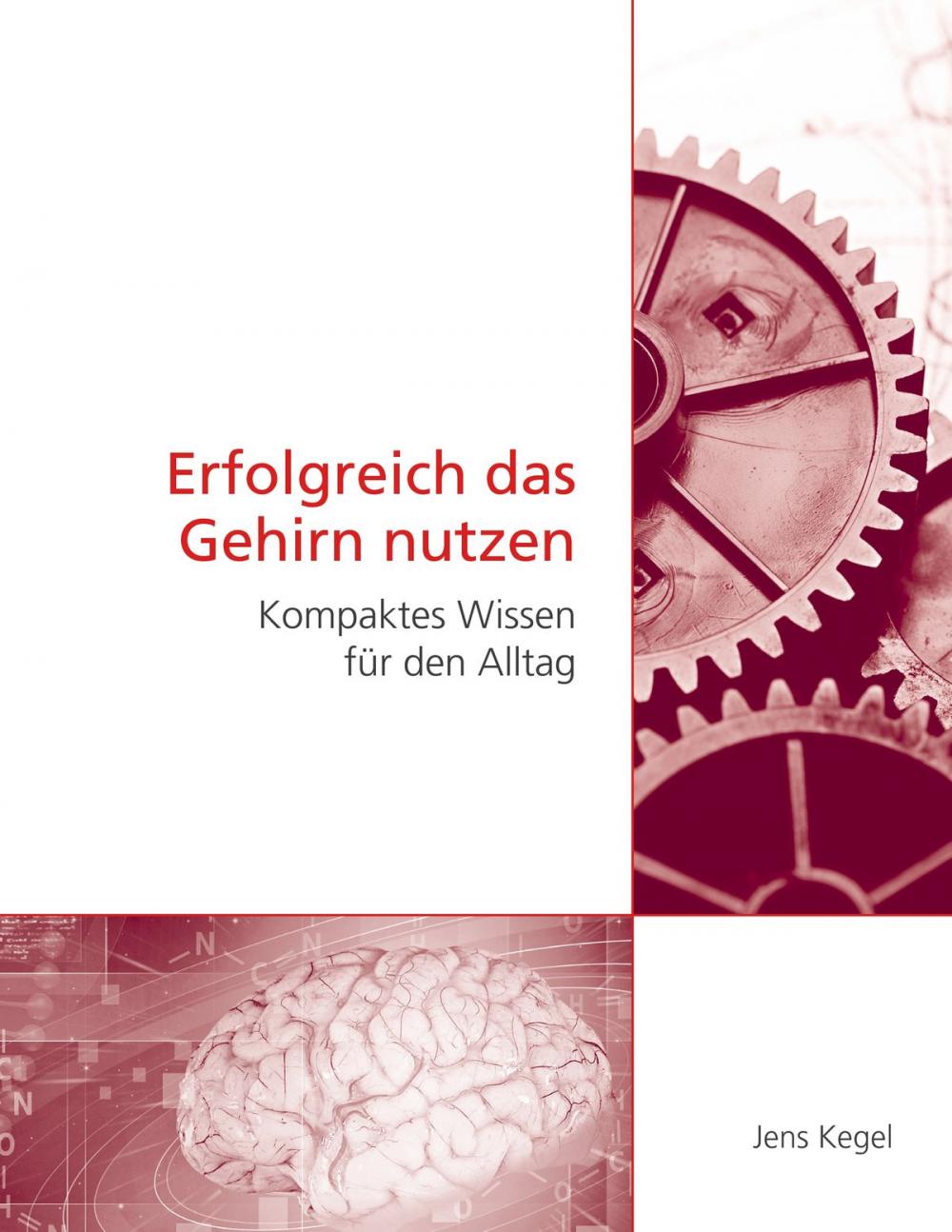 Big bigCover of Erfolgreich das Gehirn nutzen