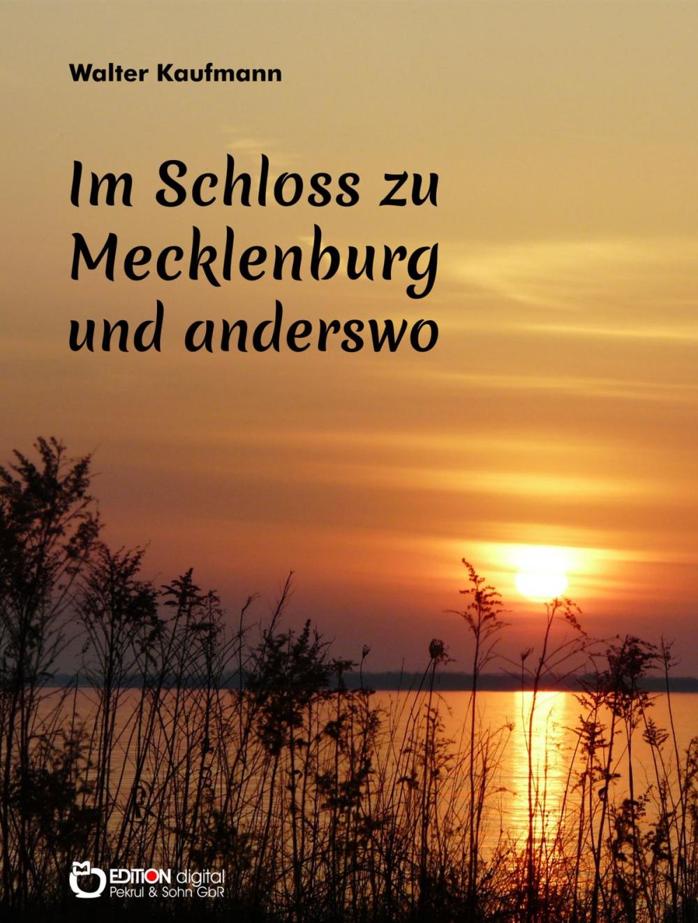 Big bigCover of Im Schloss zu Mecklenburg und anderswo