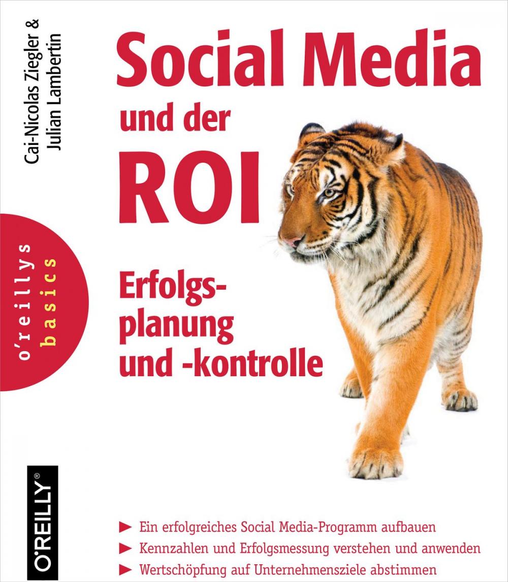 Big bigCover of Social Media und der ROI