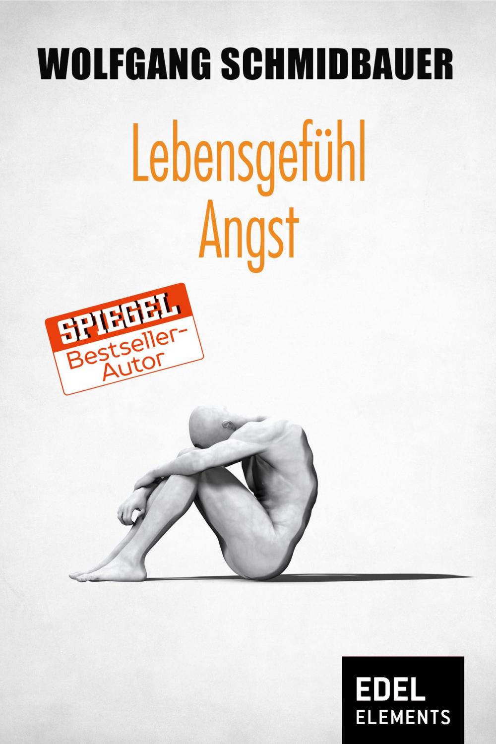 Big bigCover of Lebensgefühl Angst