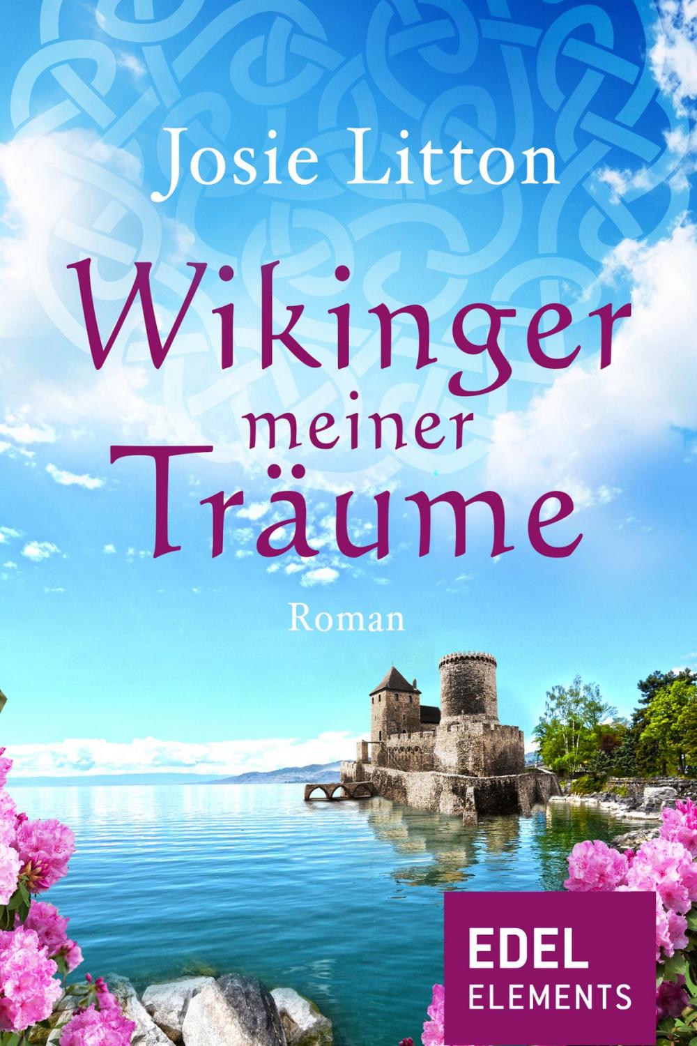 Big bigCover of Wikinger meiner Träume