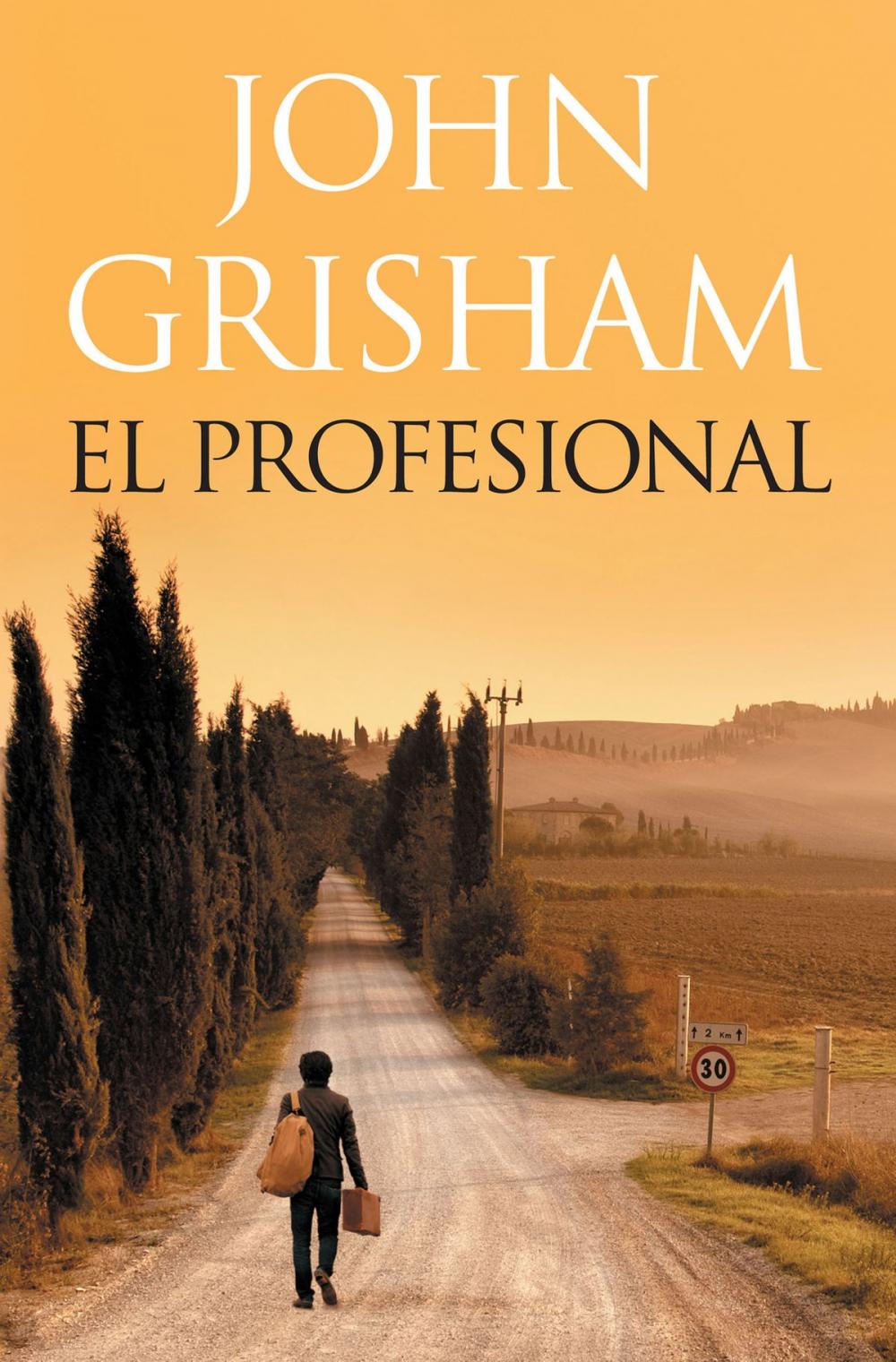 Big bigCover of El profesional