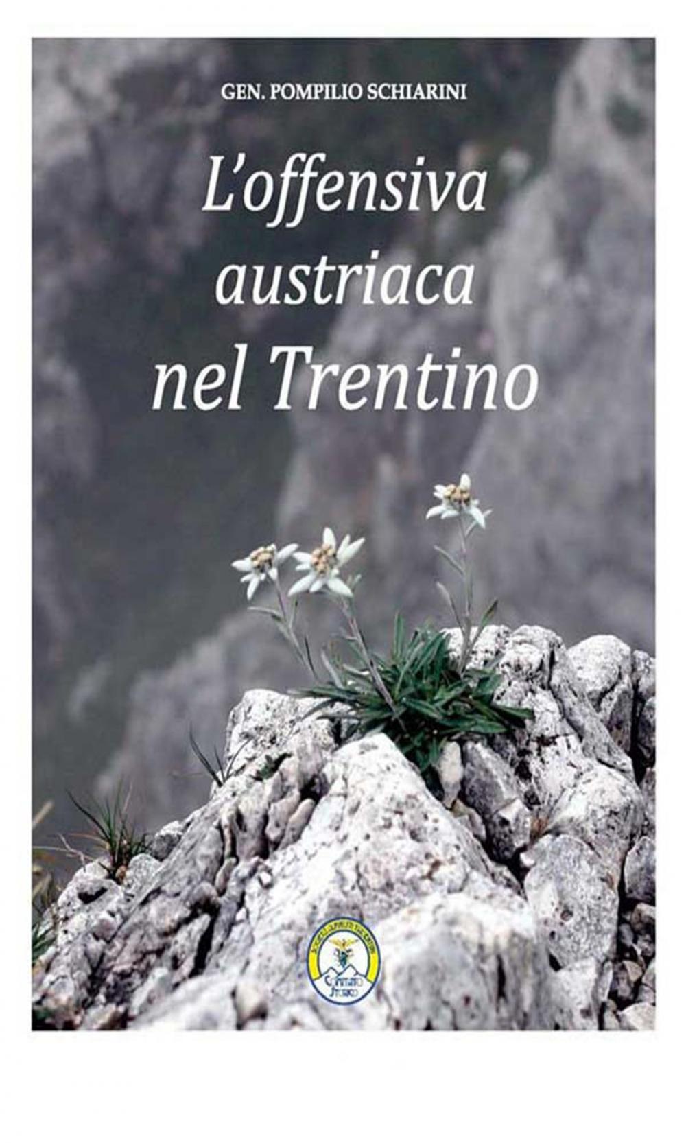 Big bigCover of L’offensiva austriaca nel Trentino