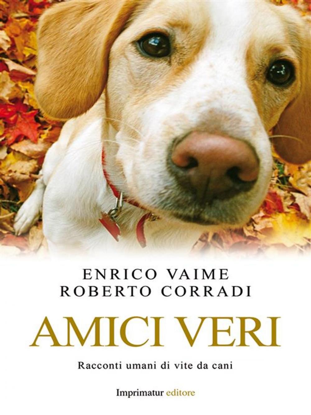 Big bigCover of Amici veri