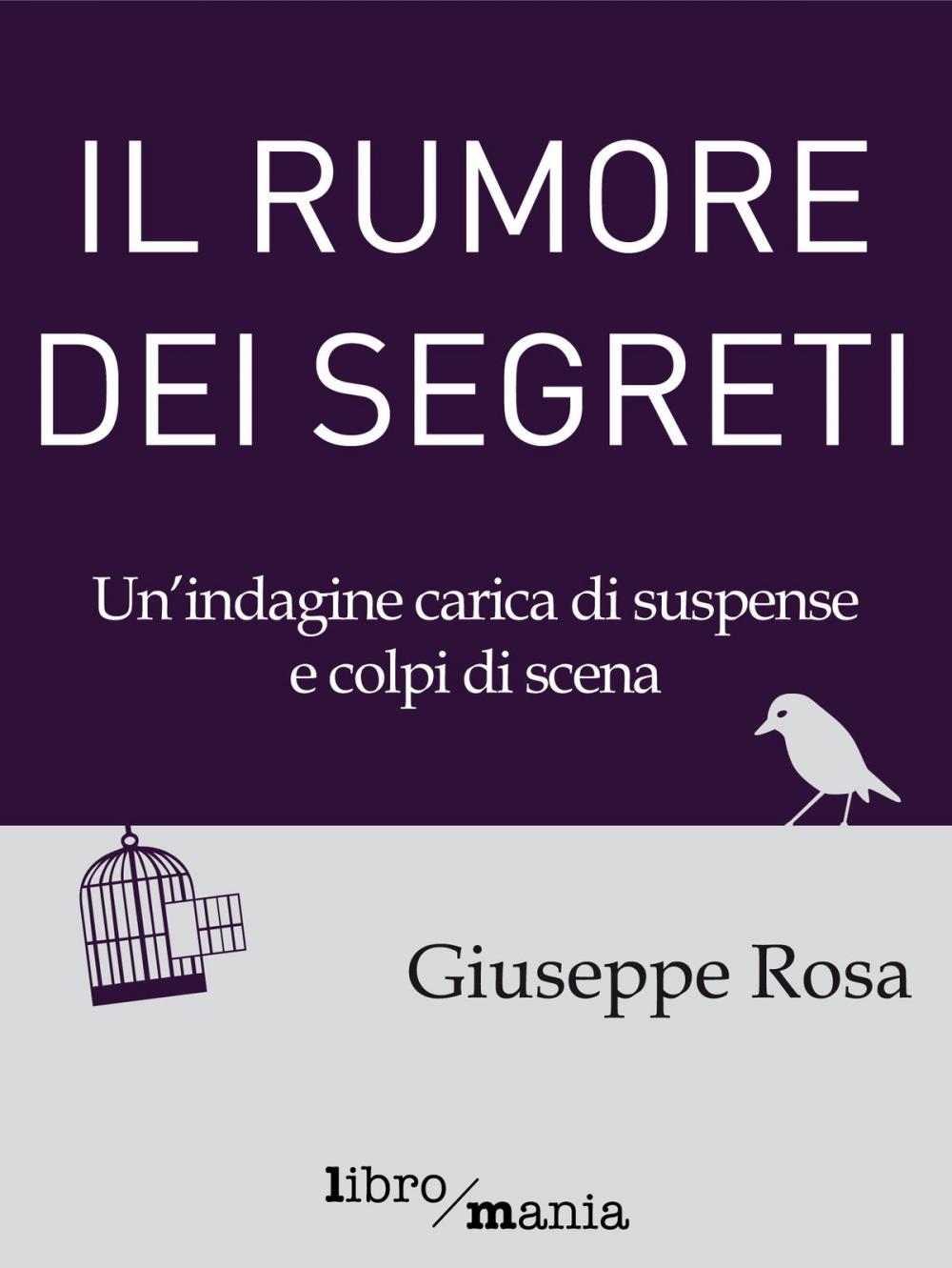 Big bigCover of Il rumore dei segreti