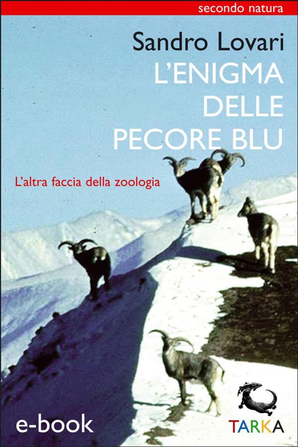 Big bigCover of L'enigma delle pecore blu