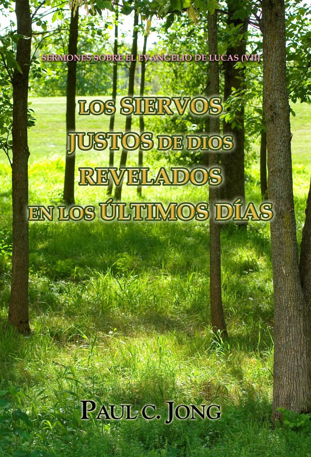 Big bigCover of Sermones sobre el evangelio de lucas (VII) - Los siervos justos de dios revelados en los últimos días