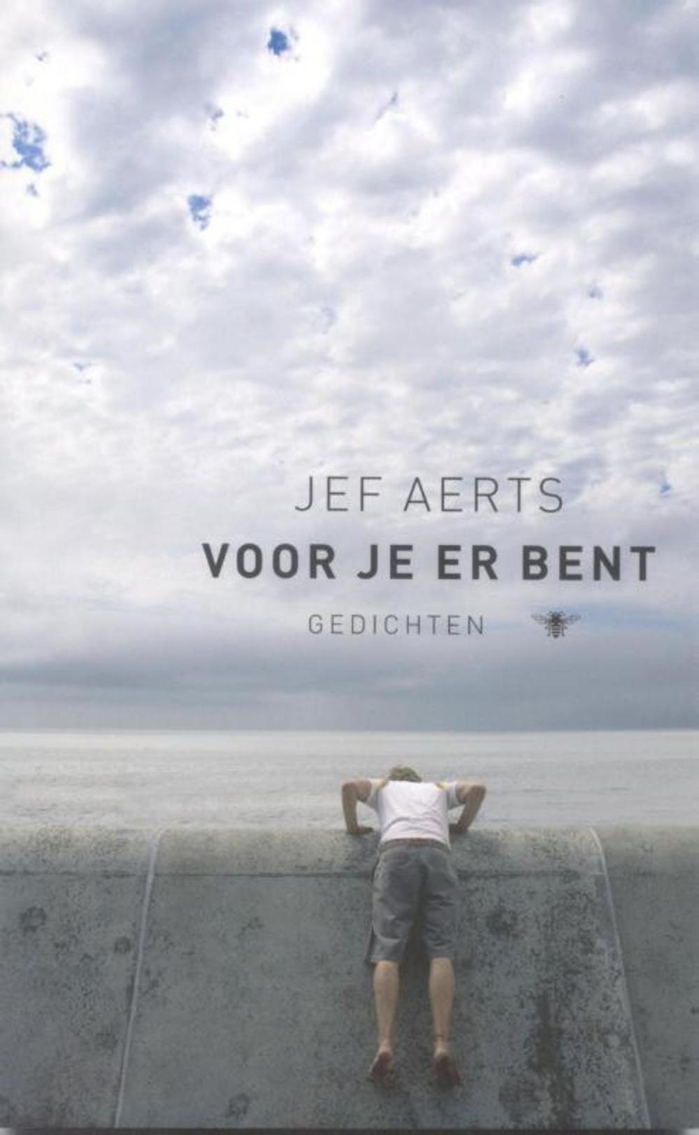 Big bigCover of Voor je er bent