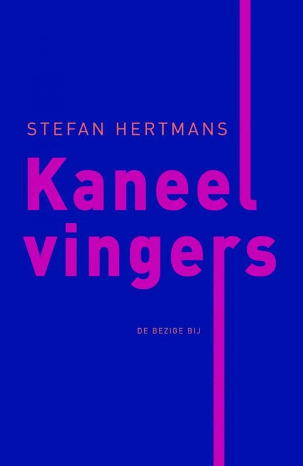 Big bigCover of Kaneelvingers