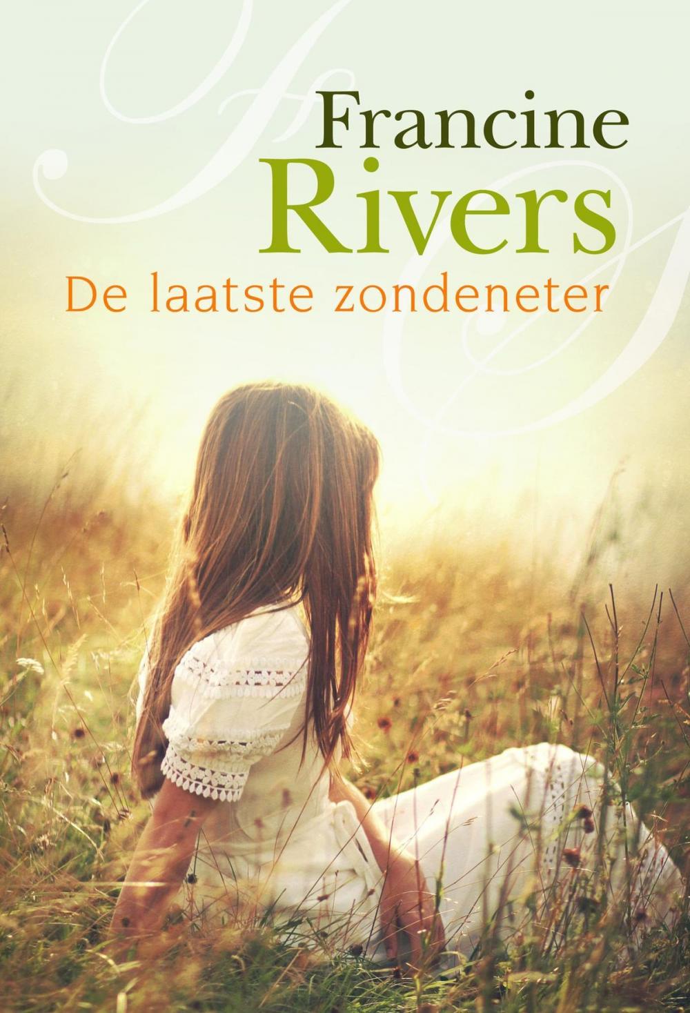 Big bigCover of De laatste zondeneter