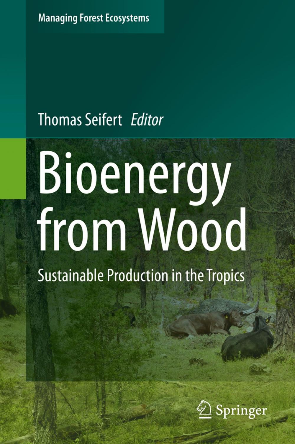 Big bigCover of Bioenergy from Wood