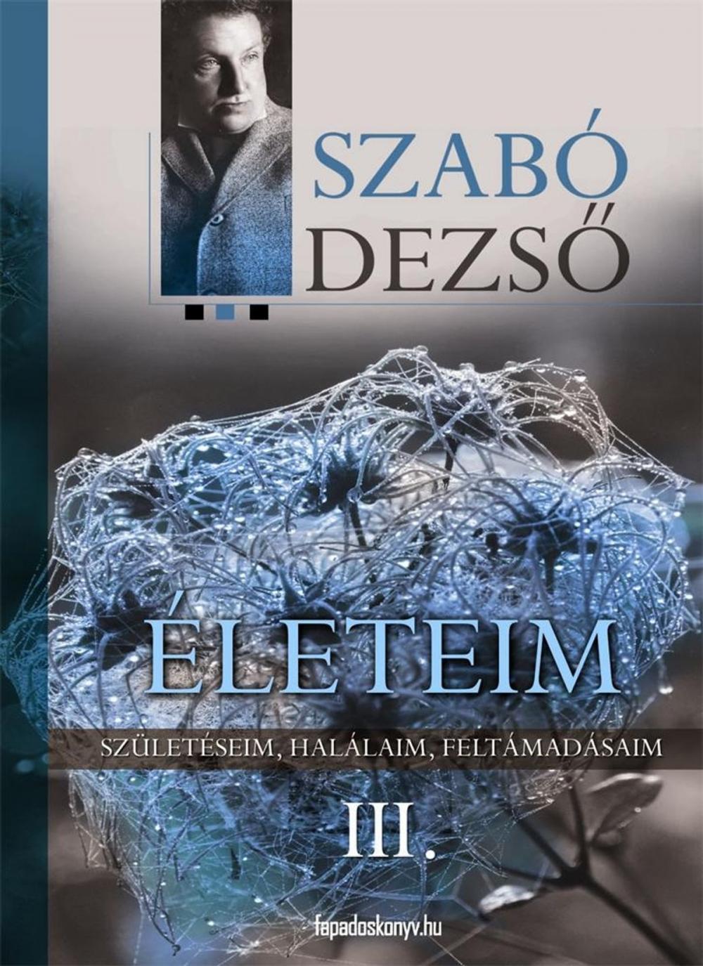 Big bigCover of Életeim III. rész