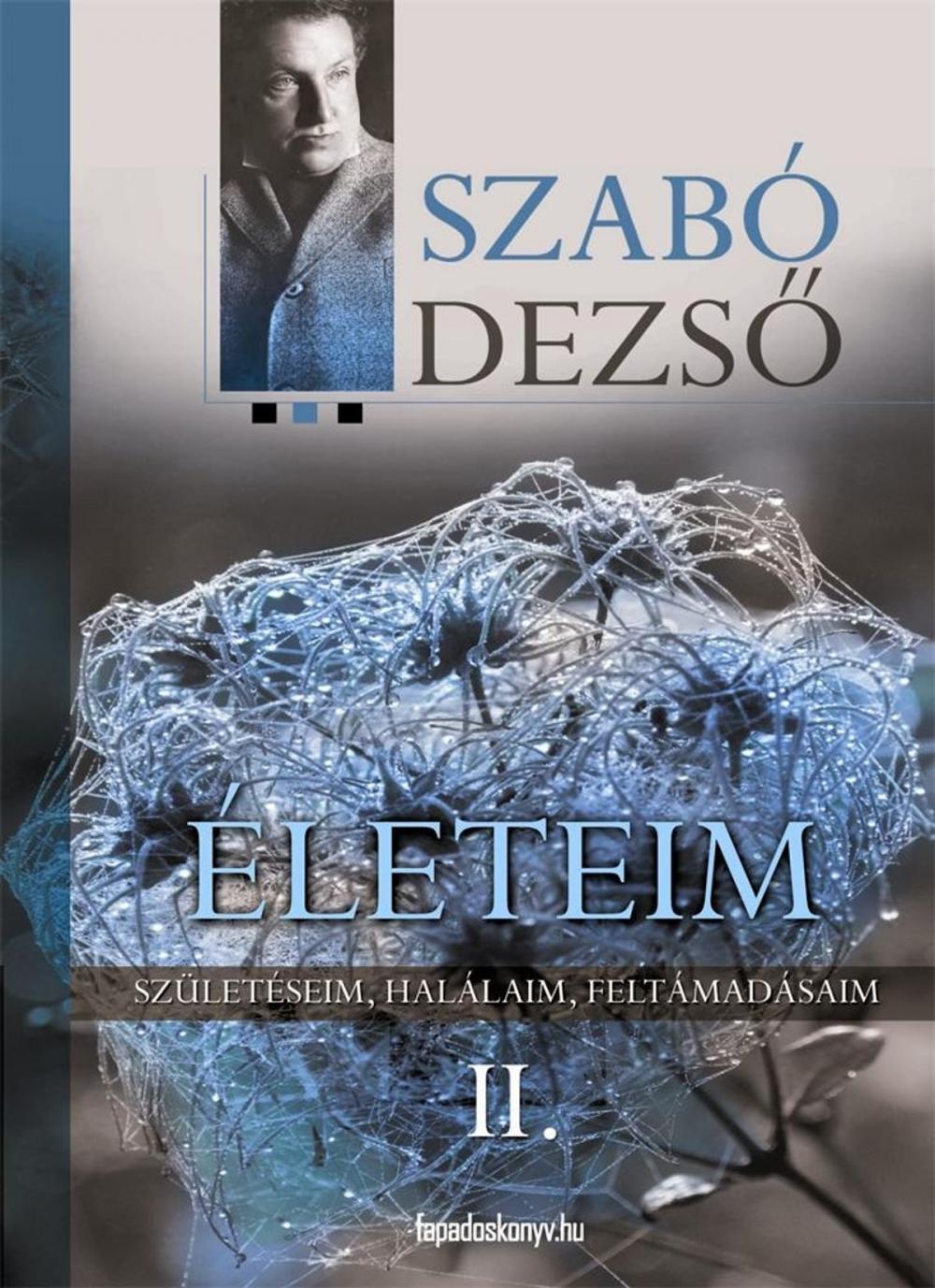 Big bigCover of Életeim II. rész