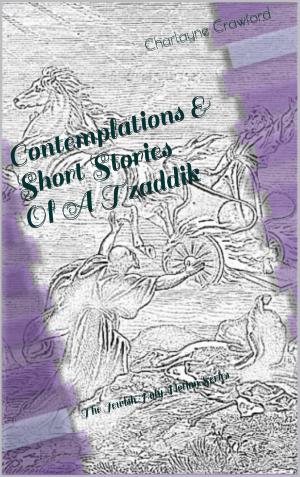 Cover of the book Contemplations & Short Stories Of A Tzaddik by Kathryn Harwig