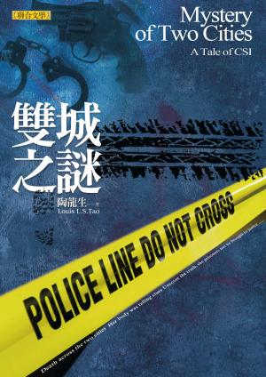 Cover of the book 雙城之謎 by Jake Aaron