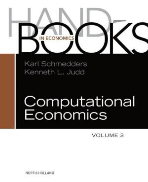 Cover of the book Handbook of Computational Economics by Bangwei Zhang, Ph.D.