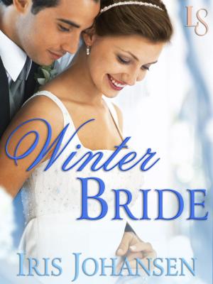 Cover of the book Winter Bride by Kate Santon
