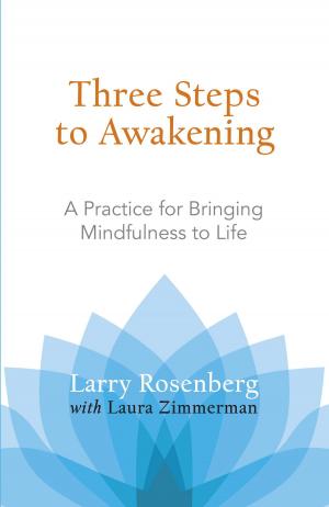 Cover of the book Three Steps to Awakening by Kenji Tokitsu