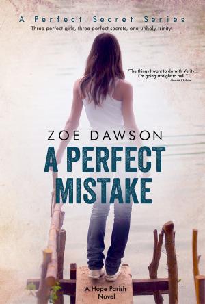 Book cover of A Perfect Mistake