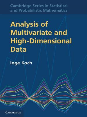 Cover of the book Analysis of Multivariate and High-Dimensional Data by 