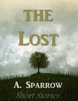 Cover of the book The Lost by James Aldridge